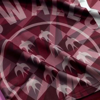 Afrique du Sud : Moroka Swallows FC et Steve Komphela, c'est fini