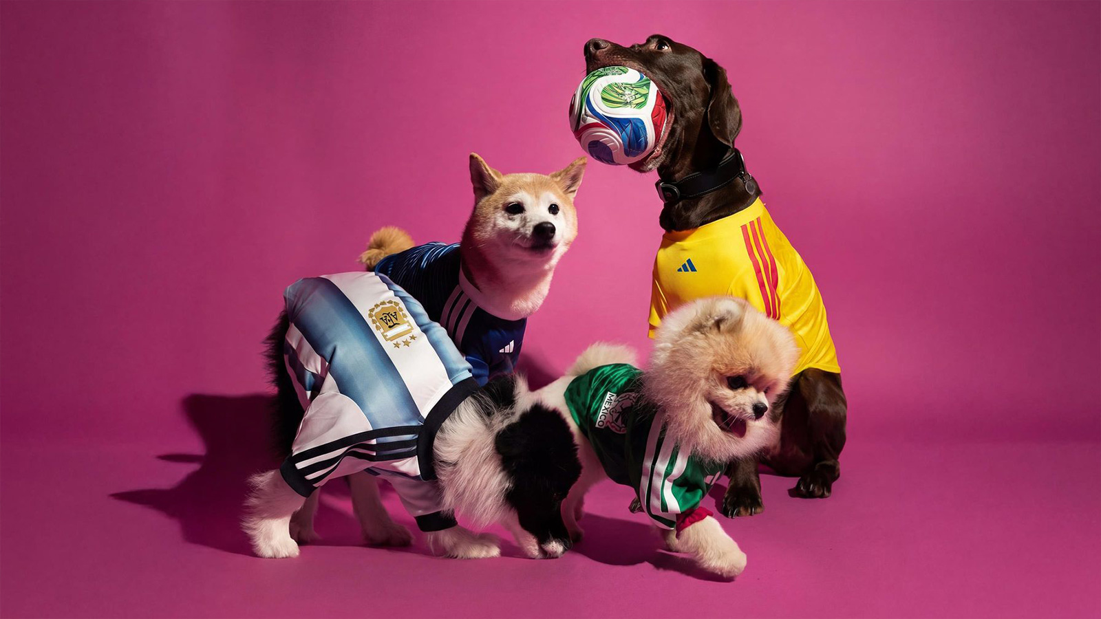 Adidas World Cup 2026 Pet Collection 