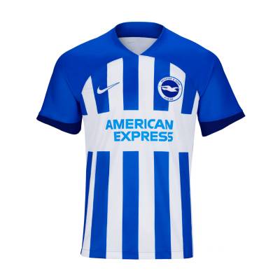 brighton_hove_albion_2023_24_nike_home_kit_d.jpeg
