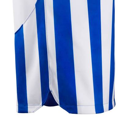 brighton_hove_albion_2023_24_nike_home_kit_g.jpeg