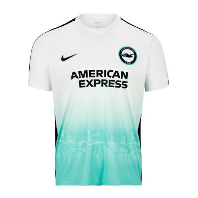 brighton_hove_albion_2023_24_nike_euro_kit_e.jpeg