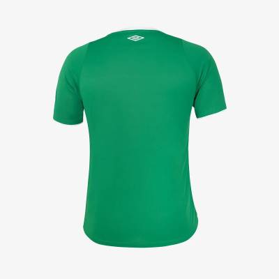 chapecoense_2024_umbro_home_kit_f.jpg