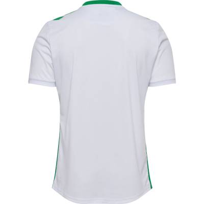 saint_etienne_24_25_hummel_away_kit_b.jpg
