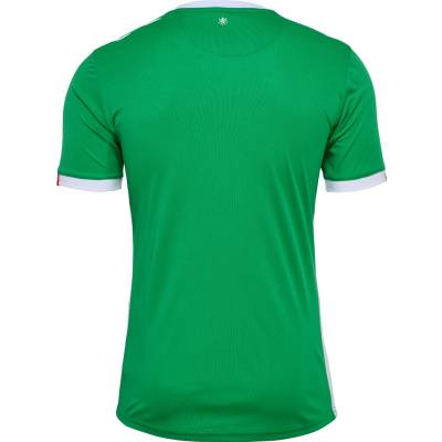 saint_etienne_24_25_hummel_home_kit_f.jpg