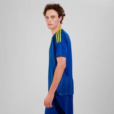 ukraine_24_25_adidas_away_kit_e.jpg