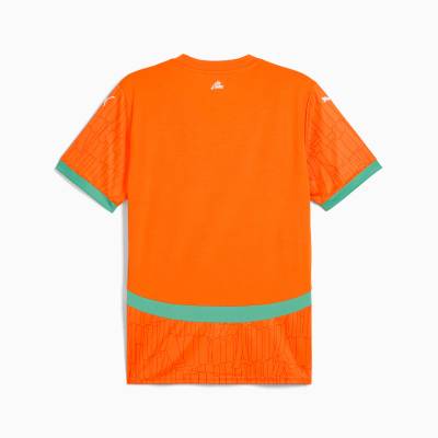 cote_d_ivoire_2025_puma_home_kit_7.jpeg