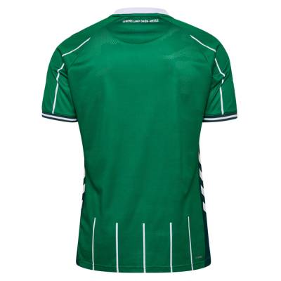 werder_bremen_25_26_hummel_home_kit_d2.jpeg