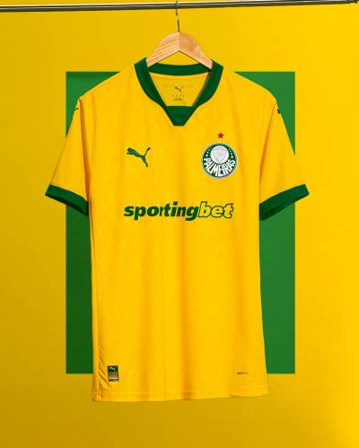 palmeiras_25_26_puma_third_kit_a.jpg
