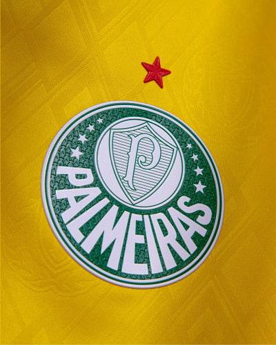 palmeiras_25_26_puma_third_kit_b.jpg