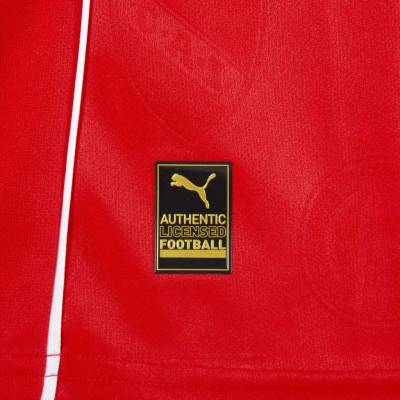 independiente_25_26_puma_home_kit_e.jpg