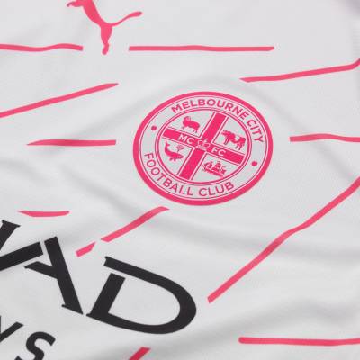 melbourne_city_25_26_puma_third_kit_c.jpg