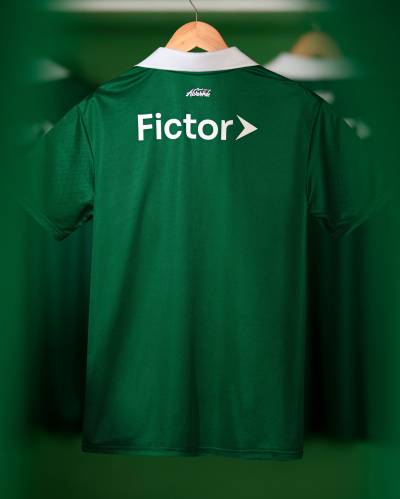 palmeiras_2025_puma_avanti_shirt_d.jpg