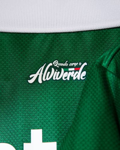 palmeiras_2025_puma_avanti_shirt_e.jpg