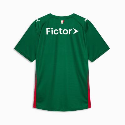 palmeiras_2026_puma_home_kit_f1.jpeg