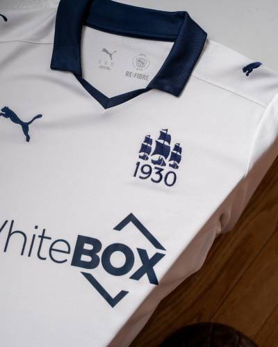 waterford_fc_2026_puma_third_kit_d.jpg