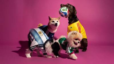 adidas_launch_fifa_world_cup_2026_home_jersey_pet_collection_a.jpg