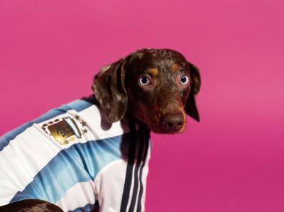 adidas_launch_fifa_world_cup_2026_home_jersey_pet_collection_b.jpg
