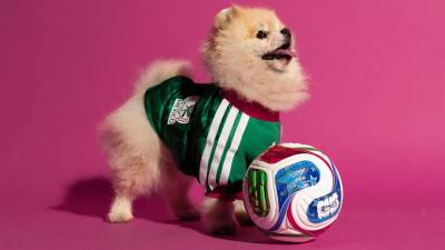 adidas_launch_fifa_world_cup_2026_home_jersey_pet_collection_c.jpg