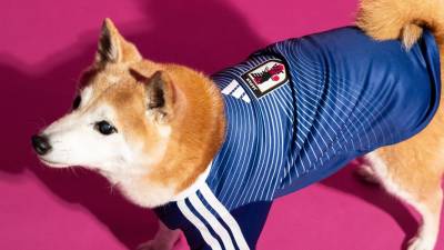 adidas_launch_fifa_world_cup_2026_home_jersey_pet_collection_d.jpg