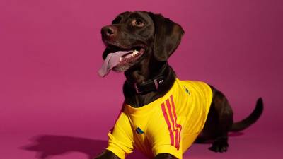 adidas_launch_fifa_world_cup_2026_home_jersey_pet_collection_e.jpg