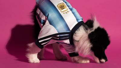 adidas_launch_fifa_world_cup_2026_home_jersey_pet_collection_f.jpg