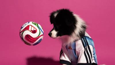 adidas_launch_fifa_world_cup_2026_home_jersey_pet_collection_g.jpg