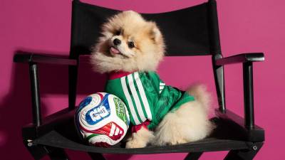 adidas_launch_fifa_world_cup_2026_home_jersey_pet_collection_h.jpg