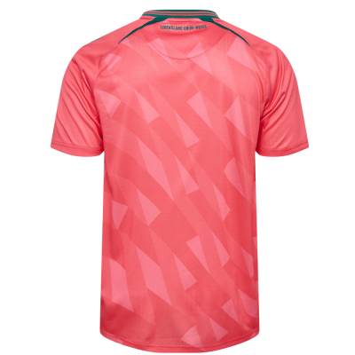 werder_bremen_26_27_hummel_third_kit_e.jpg