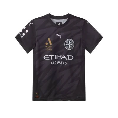 melbourne_city_25_26_puma_away_kit_c.jpg