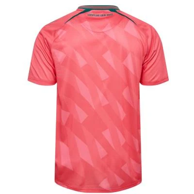 werder_bremen_26_27_hummel_third_kit_e.jpg